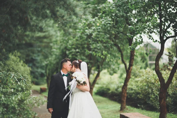 Perfect couple bride, groom posing and kissing in their wedding day — Stock Photo, Image