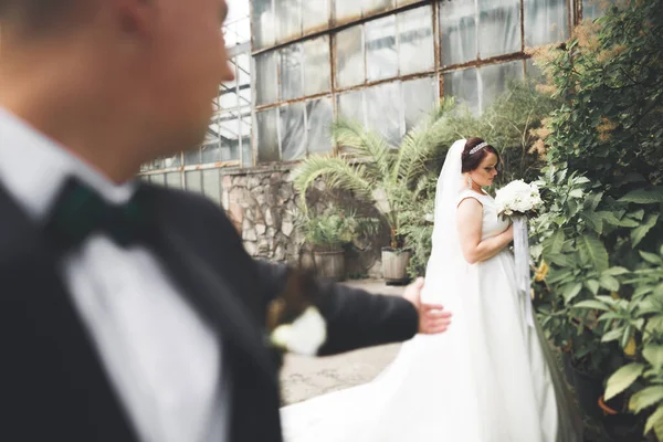 Coppia perfetta sposa, sposo posa e baci nel loro giorno del matrimonio — Foto Stock