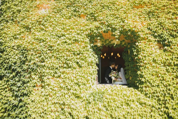 Stijlvol paar gelukkige pasgetrouwden wandelen in het park op hun trouwdag met boeket — Stockfoto