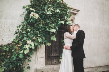 Güzel, romantik bir düğün. Yeni evliler. Eski kalenin yakınlarında sarılıyorlar.
