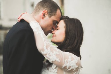 Şehvetli evli çift, eski Slav kalesinin önünde sevgililer günü kucaklaşması.