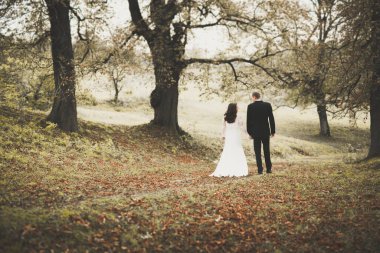 Genç ve güzel bir çift parkta öpüşüyor ve gülümsüyor.