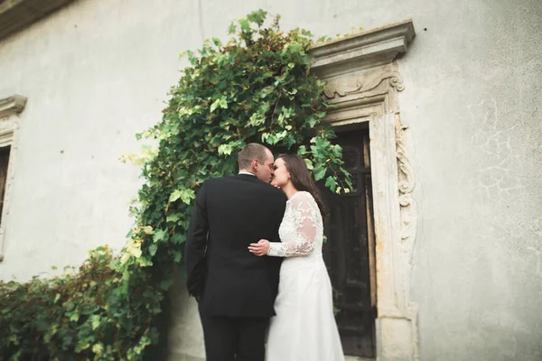 Sensuale coppia sposata, valentini che si abbracciano davanti al vecchio castello slavo — Foto Stock