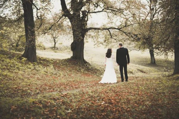 Hermosa joven pareja de boda se besa y sonríe en el parque — Foto de Stock