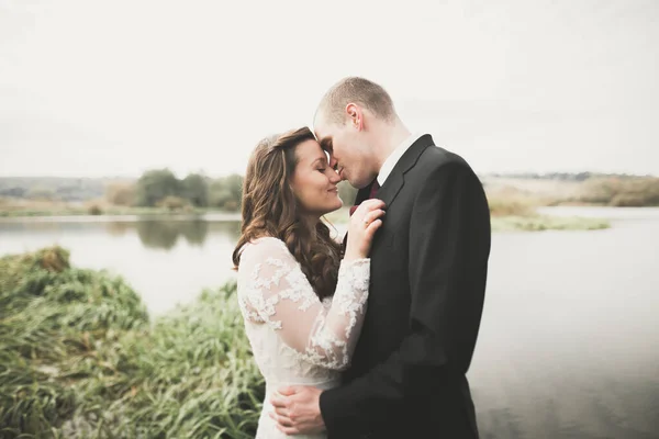 Perfect couple bride, groom posing and kissing in their wedding day — Stock Photo, Image