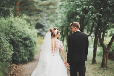 Gelin ve damat el ele tutuşuyor.