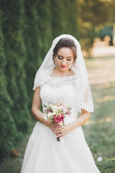 Hermosa novia joven de lujo en vestido de novia posando en el parque — Foto de Stock