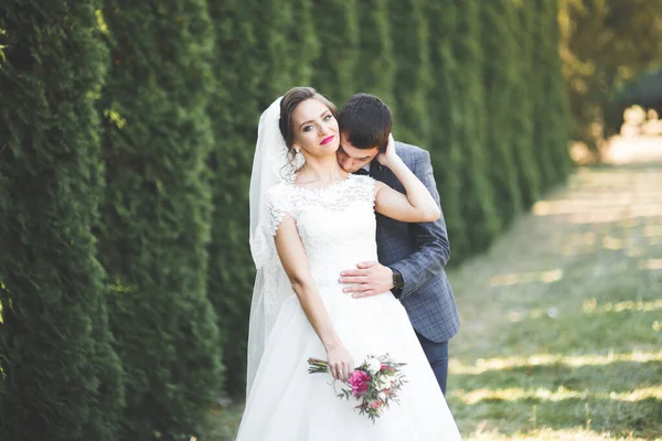 Perfektes Paar Braut, Bräutigam posiert und küsst sich am Hochzeitstag — Stockfoto