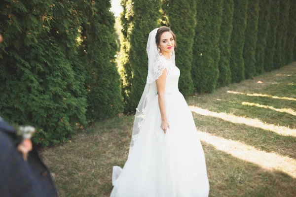 Coppia perfetta sposa, sposo posa e baci nel loro giorno del matrimonio — Foto Stock