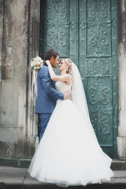 Mükemmel bir çift gelin ve damat düğün günlerinde poz verip öpüşürler.