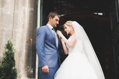 Mükemmel bir çift gelin ve damat düğün günlerinde poz verip öpüşürler.