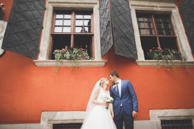 Mükemmel bir çift gelin ve damat düğün günlerinde poz verip öpüşürler.