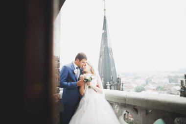 Mükemmel bir çift gelin ve damat düğün günlerinde poz verip öpüşürler.