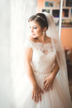 Tüylü, lüks makyaj, saç stili, stüdyo içi fotoğraf çekimi olan güzel bir gelin.