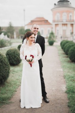 Güzel, romantik bir düğün. Yeni evliler. Eski kalenin yakınlarında sarılıyorlar.