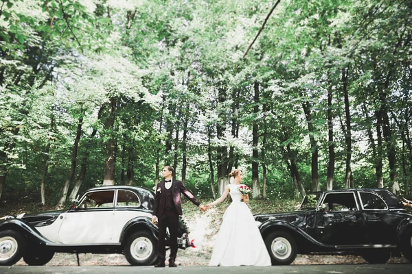 Perfektes Paar Braut, Bräutigam posiert und küsst sich am Hochzeitstag — Stockfoto