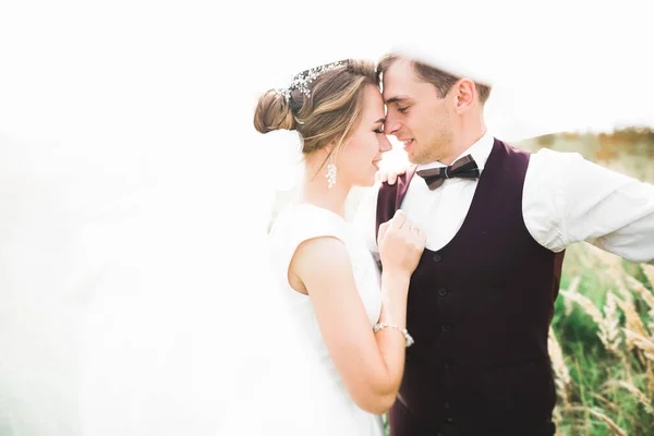 Coppia perfetta sposa, sposo posa e baci nel loro giorno del matrimonio — Foto Stock