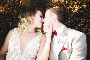 Güzel gelin ve damat evlendikleri gün kucaklaşıp öpüşüyorlar.