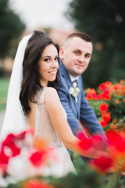 Düğün çift doğa yakın çekim portre öpüşme