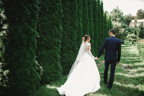 植物公園を歩く幸せな結婚式のカップル — ストック写真