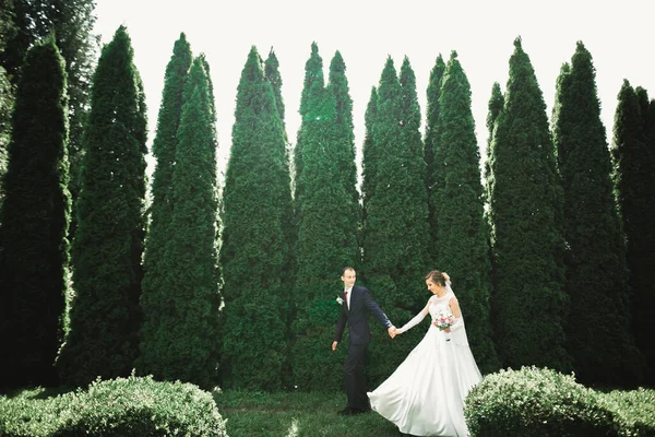 Elegante coppia di sposi felici che passeggiano nel parco il giorno del loro matrimonio con bouquet — Foto Stock