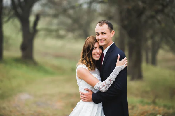 Romántico, cuento de hadas, feliz pareja recién casada abrazándose y besándose en un parque, árboles en el fondo —  Fotos de Stock