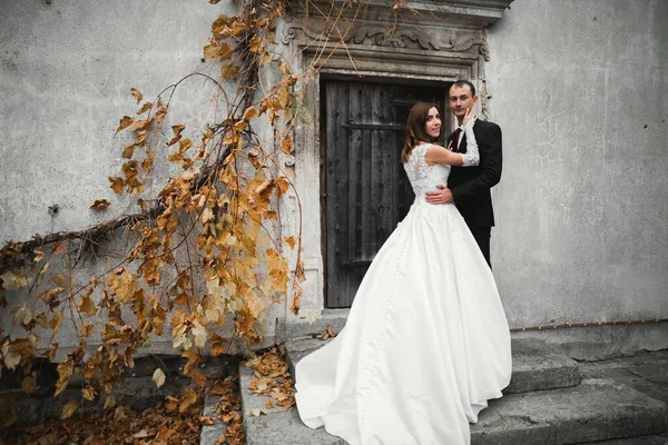 Momento romantico di nozze, coppia di sposi che sorridono ritratto, sposa e sposo che si abbracciano — Foto Stock