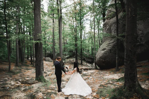 Pareja feliz boda caminando en un parque botánico — Foto de Stock