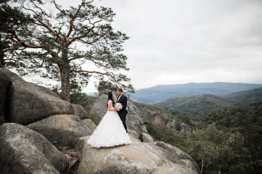 Harika bir gelin damada poz veriyor ve harika manzaralı dağlarda eğleniyor. Mesajlaşacak yer, düğün çifti.