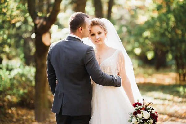 Romantic, fairytale, happy newlywed couple hugging and kissing in a park, trees in background — Stock Photo, Image