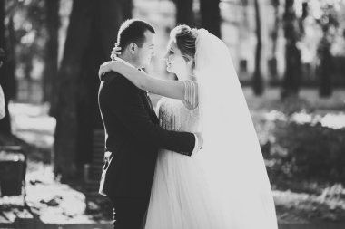 Göz kamaştırıcı mutlu çift birbirine yakın duruyor ve gözlerinin içine bakıyor.