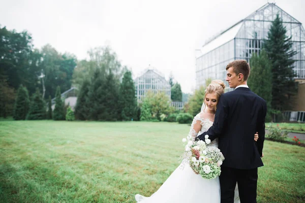 Wedding couple on the nature is hugging each other. Beautiful model girl in white dress. Man in suit — Stock Photo, Image