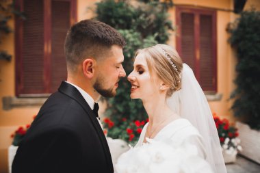 Romantik düğün anı, yeni evli çiftin gülümseyen portresi, gelin ve damadın kucaklaşması