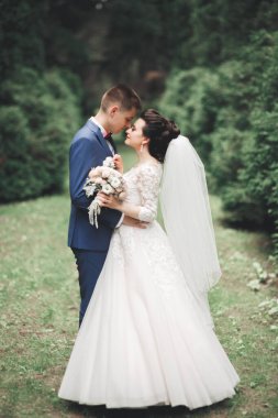 Botanik parkında yürüyen mutlu bir çift.