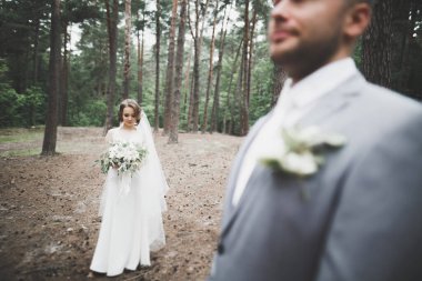 Güzel gelin ve damat düğün günlerinde kucaklaşıp öpüşürler.