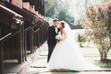 Güzel mutlu bir düğün çifti, uzun beyaz elbiseli gelin.