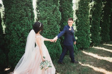 Parkta kucaklaşan yeni evli çiftin güzel romantik düğünü.