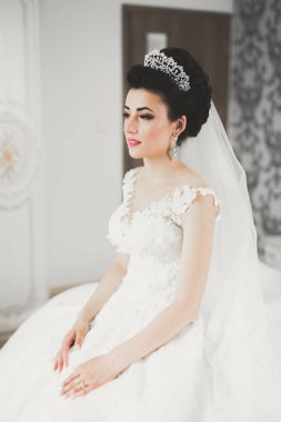 Tüylü, lüks makyaj, saç stili, stüdyo içi fotoğraf çekimi olan güzel bir gelin.