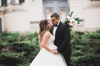 Lüks evli çift, gelin ve damat eski şehirde poz veriyor.