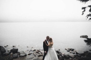 Mükemmel bir çift gelin ve damat düğün günlerinde poz verip öpüşürler.