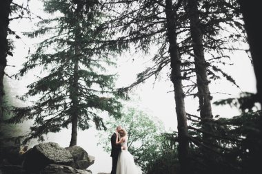 Bahar mevsiminde öpüşen düğün çifti. Yakın plan portre.