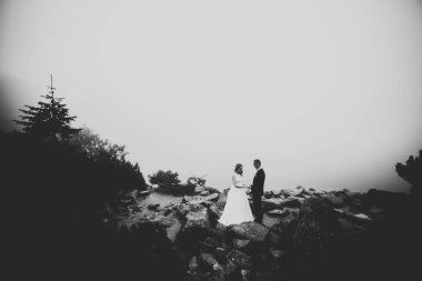 Güzel bir sahilde poz veren genç bir çiftin mutlu ve romantik sahnesi.