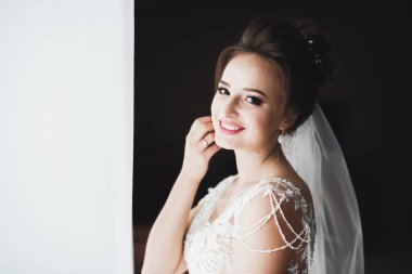 Tüylü, lüks makyaj, saç stili, stüdyo içi fotoğraf çekimi olan güzel bir gelin.