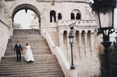 Güzel bir düğün çifti el ele tutuşup birbirlerine bakıyorlar.