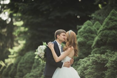 Botanik parkında yürüyen mutlu bir çift.