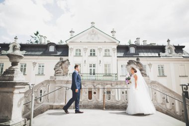 Mükemmel bir çift gelin ve damat düğün günlerinde poz verip öpüşürler.