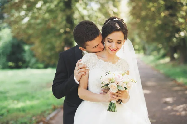 Casal de casamento feliz noivo encantador e noiva perfeita posando no parque — Fotografia de Stock