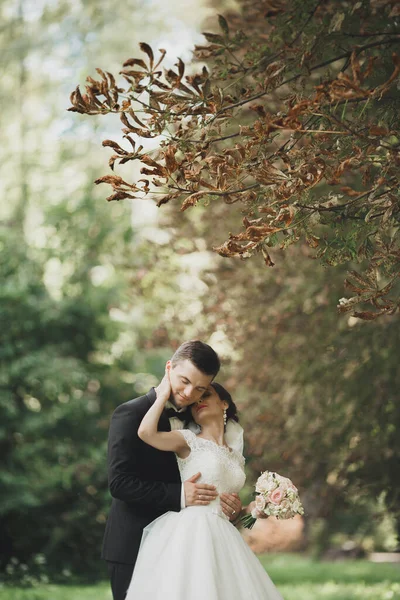 Boda feliz pareja novio encantador y novia perfecta posando en el parque — Foto de Stock