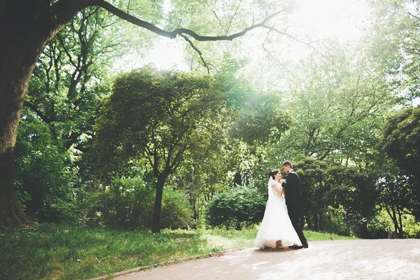 Romantisch, sprookje, gelukkig pasgetrouwd stel knuffelen en kussen in een park, bomen op de achtergrond — Stockfoto