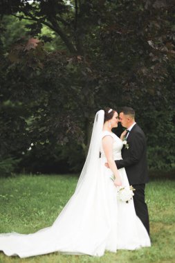 Gelin ve damat el ele tutuşuyor.